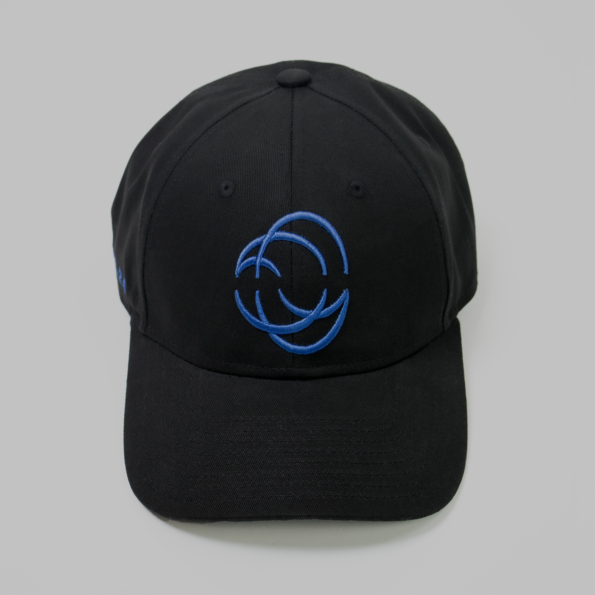 Future Localism Logo Cap Blue